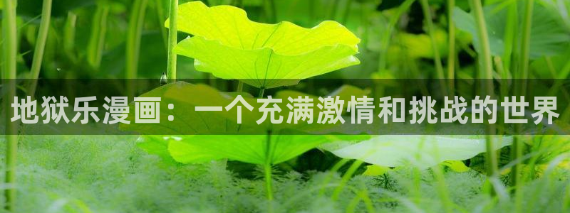 漫蛙n