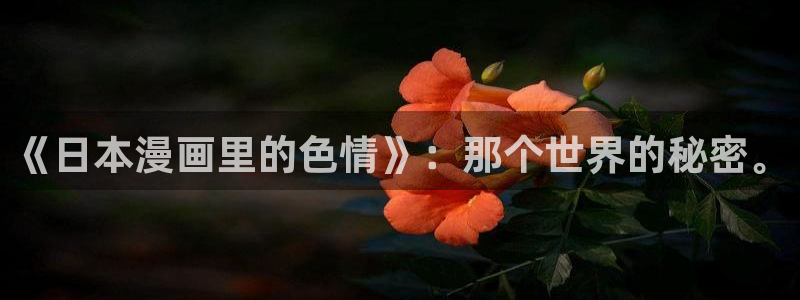 漫蛙2台服入口