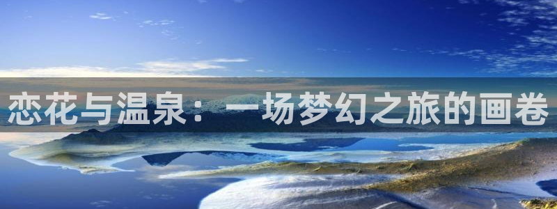 漫蛙网页版链接入口官网