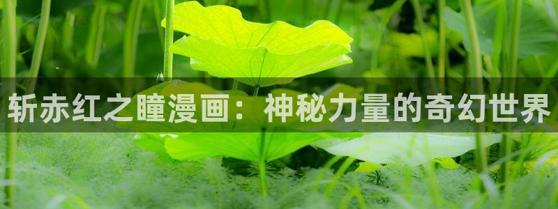漫蛙官网app下载