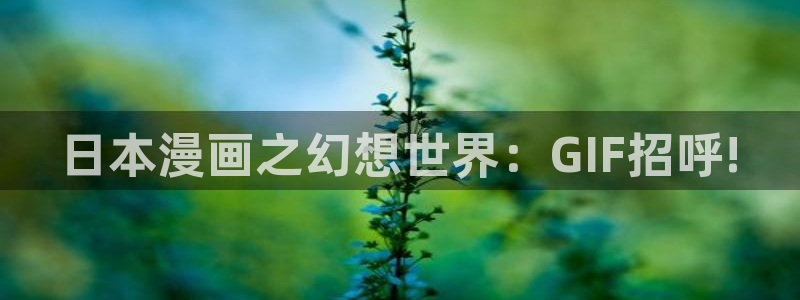 韩国漫蛙