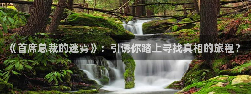 苹果漫蛙