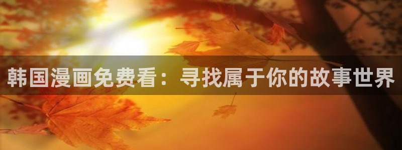 漫蛙拷贝