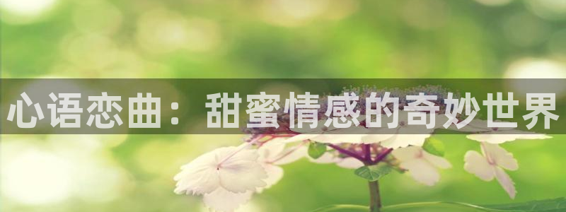 漫蛙manwa1.1.9下载