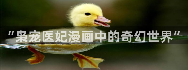 漫蛙是什么软件