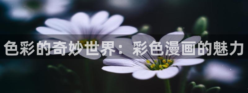 漫蛙官网网页入口