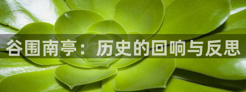 求漫蛙网址
