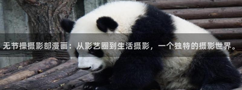 漫蛙怎么收藏漫画
